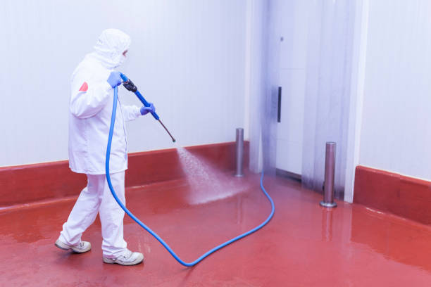 Best Warehouse Cleaning  in Catalina Foothills, AZ